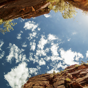 女人裸双乳被老头夹奶电影
